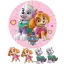 Mancsőrjárat, Paw Patrol,Skye, Everest témájú tortaostya,ostyalap